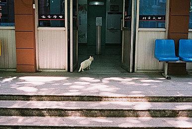 《蠢蛋搞怪秀》主演加盟《托尼霍克职业滑板3 + 4》