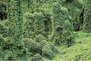 《星球大战绝地：幸存者》PC版需要155Gb存储空间